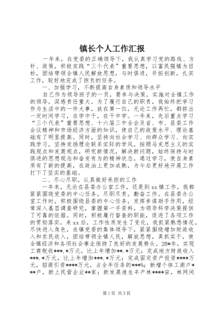 2024年镇长个人工作汇报