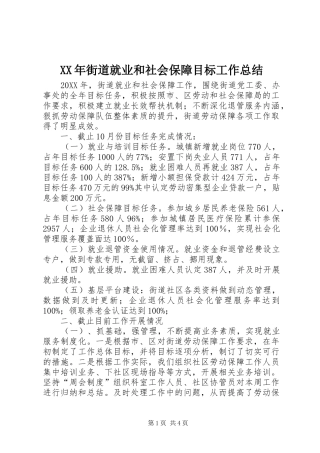2024年街道就业和社会保障目标工作总结