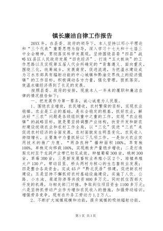 2024年镇长廉洁自律工作报告