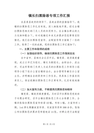 2024年镇长扫黑除恶专项工作汇报