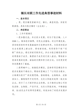 2024年镇长双联工作先进典型事迹材料