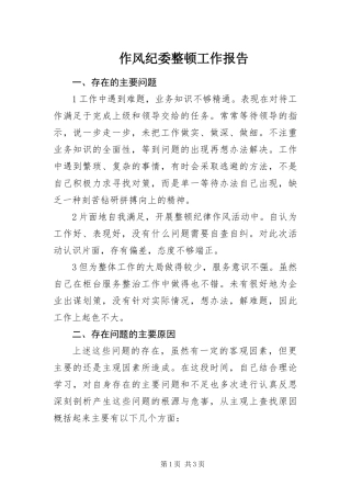 2024年作风纪委整顿工作报告