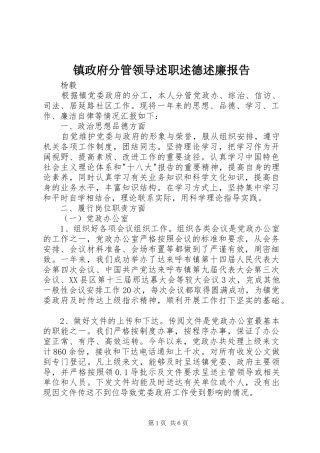 2024年镇政府分管领导述职述德述廉报告