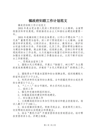 2024年镇政府妇联工作计划范文