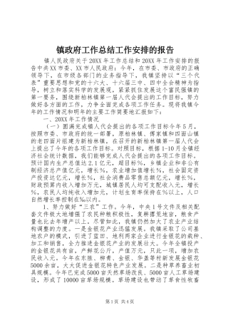 2024年镇政府工作总结工作安排的报告