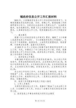 2024年镇政府信息公开工作汇报材料