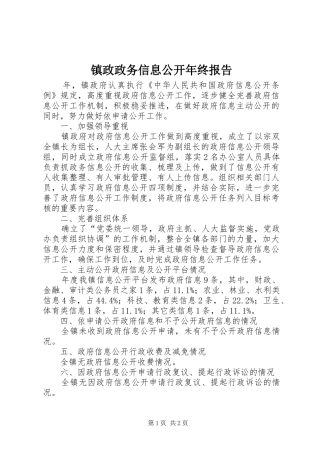 2024年镇政政务信息公开年终报告