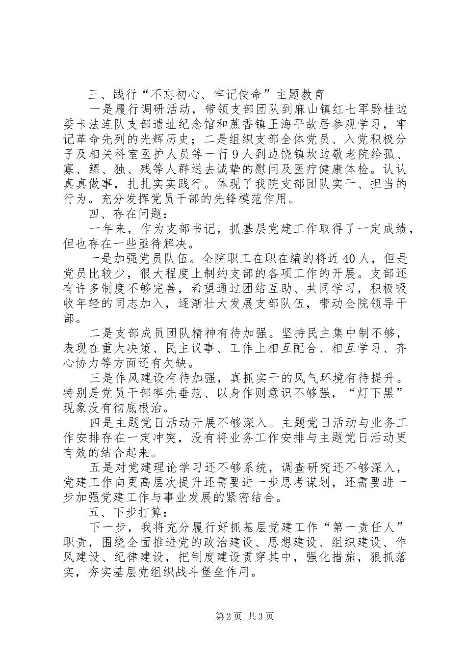 2024年镇中心卫生院支部书记述职报告_第2页