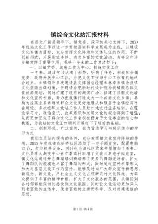 2024年镇综合文化站汇报材料