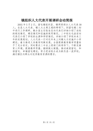 2024年镇组织人大代表开展调研会动简报