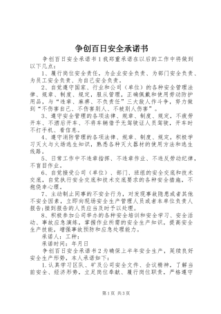 2024年争创百日安全承诺书