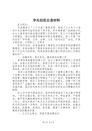 2024年争先创优自查材料