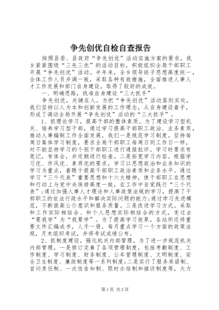 2024年争先创优自检自查报告