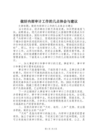 2024年做好内部审计工作的几点体会与建议