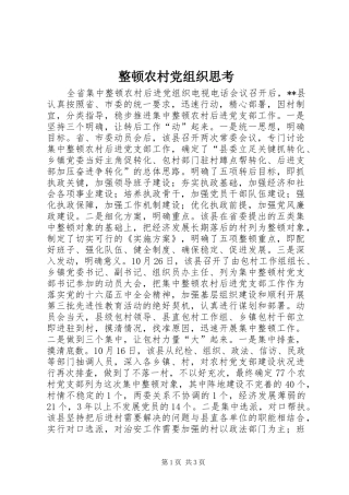 2024年整顿农村党组织思考