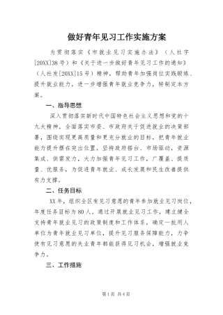 2024年做好青年见习工作实施方案