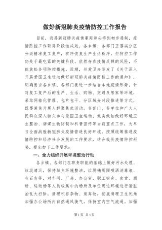 2024年做好新冠肺炎疫情防控工作报告