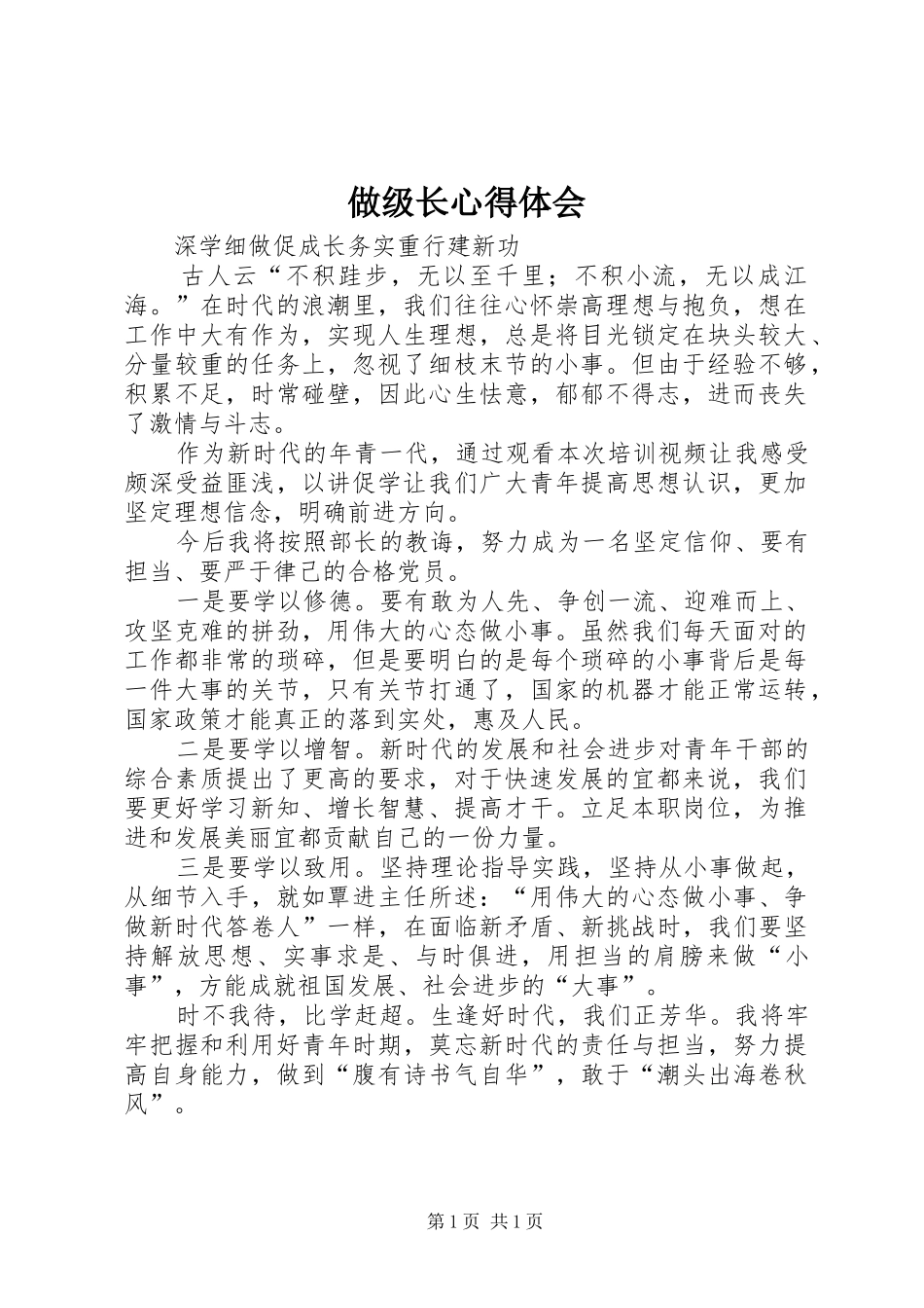 2024年做级长心得体会_第1页