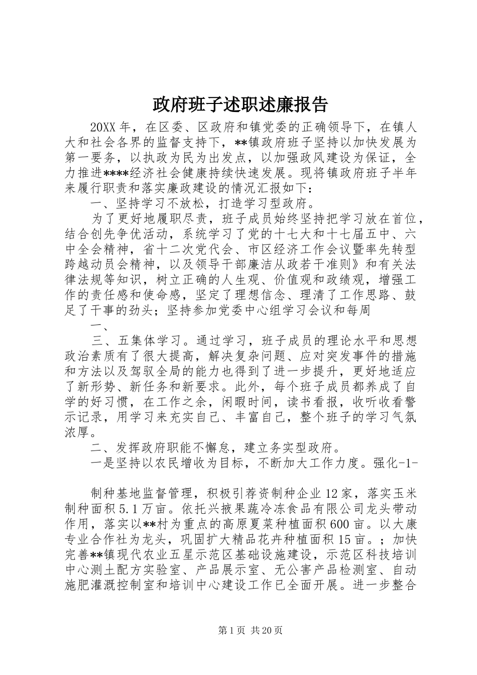 2024年政府班子述职述廉报告_第1页