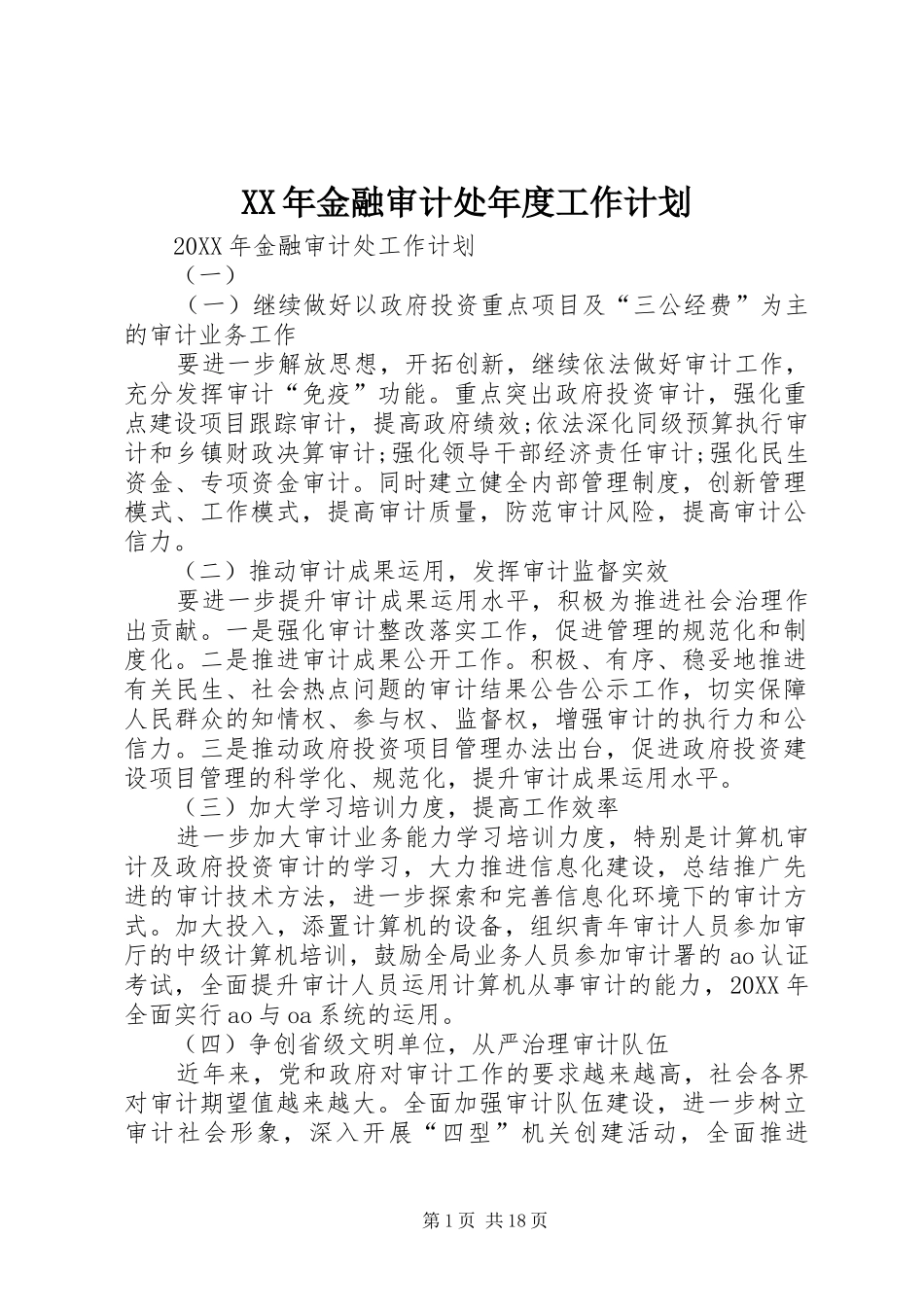 2024年金融审计处年度工作计划_第1页