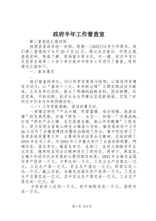 2024年政府半年工作督查室
