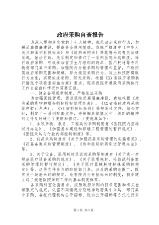 2024年政府采购自查报告