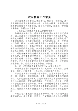 2024年政府督查工作意见