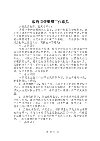 2024年政府监督组织工作意见
