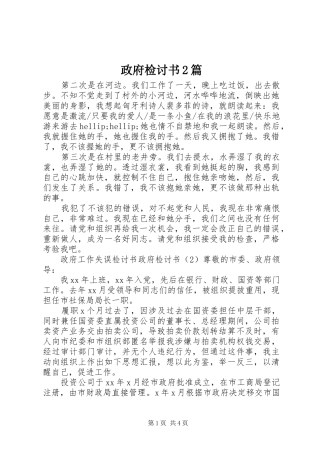 2024年政府检讨书篇