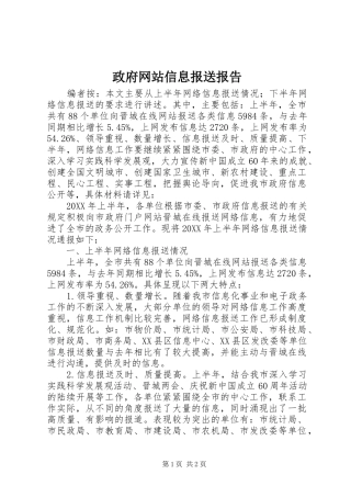 2024年政府网站信息报送报告