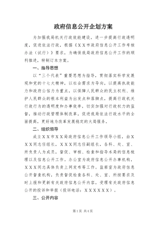 2024年政府信息公开企划方案