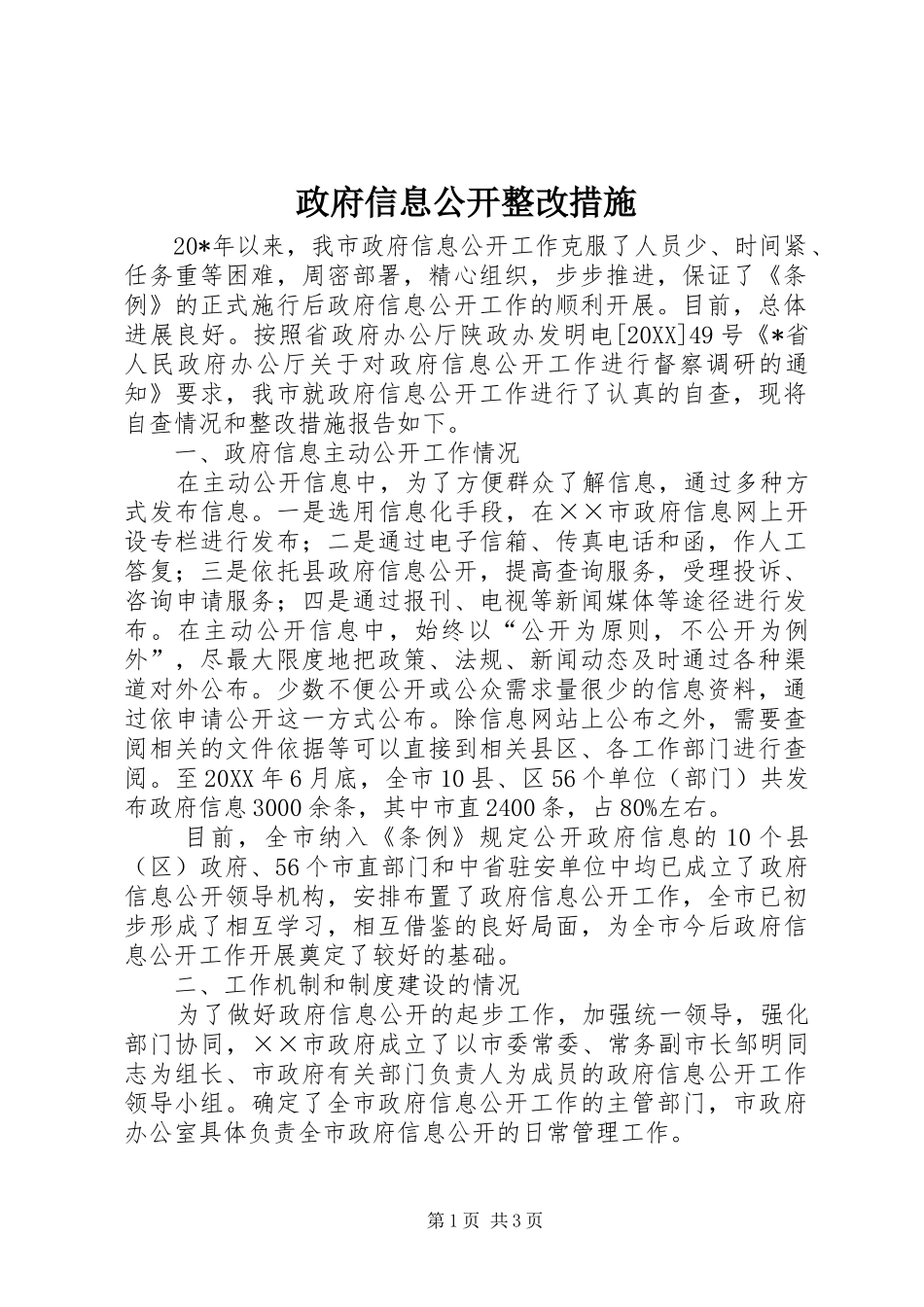 2024年政府信息公开整改措施_第1页