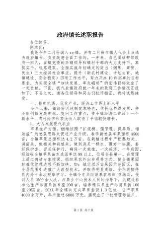 2024年政府镇长述职报告