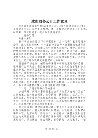 2024年政府政务公开工作意见