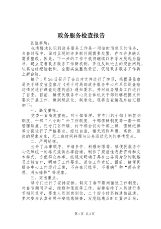 2024年政务服务检查报告