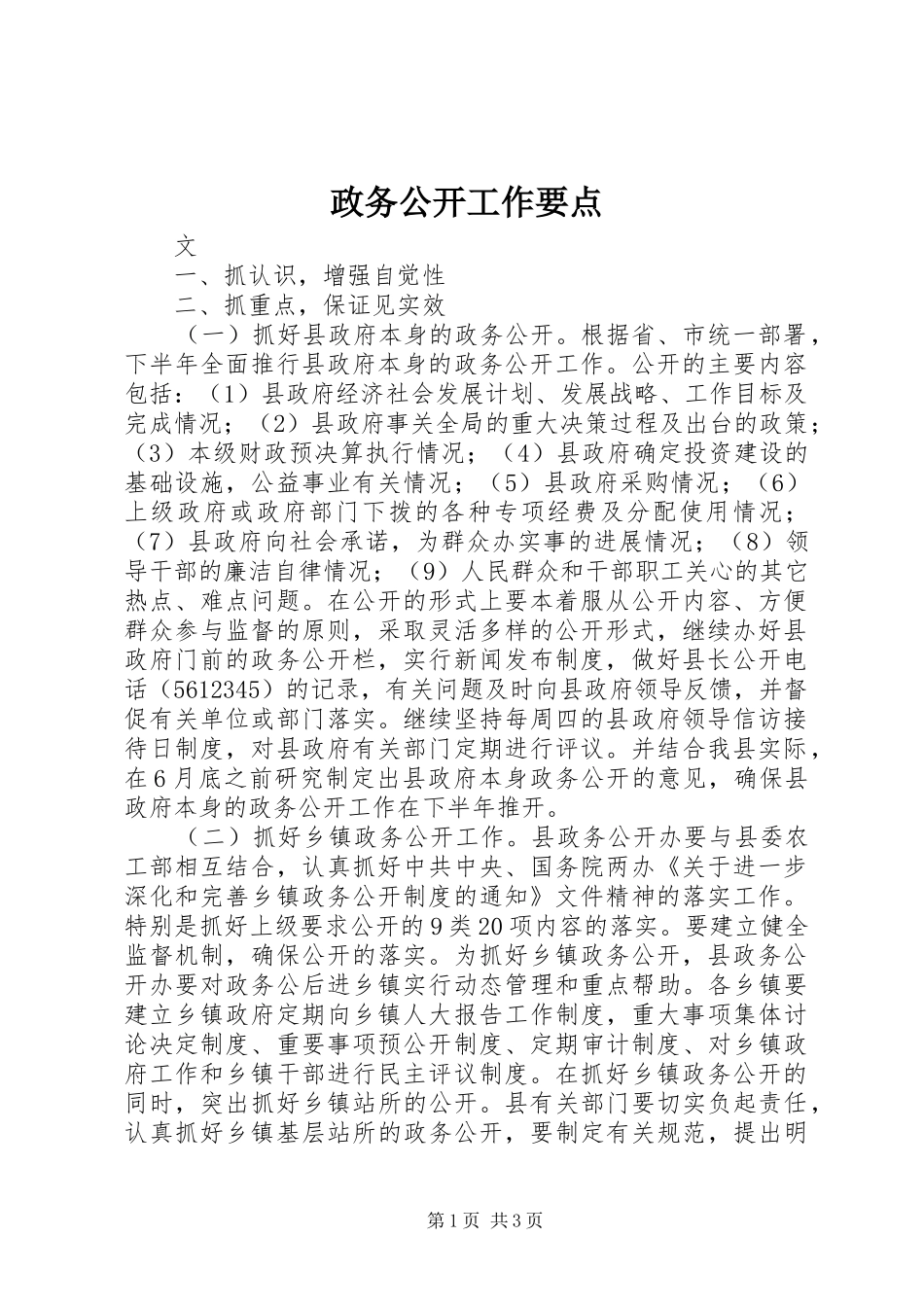 2024年政务公开工作要点_第1页