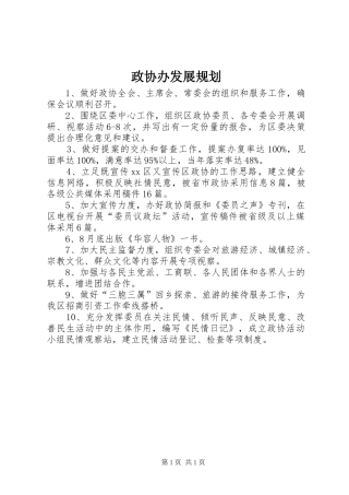 2024年政协办发展规划