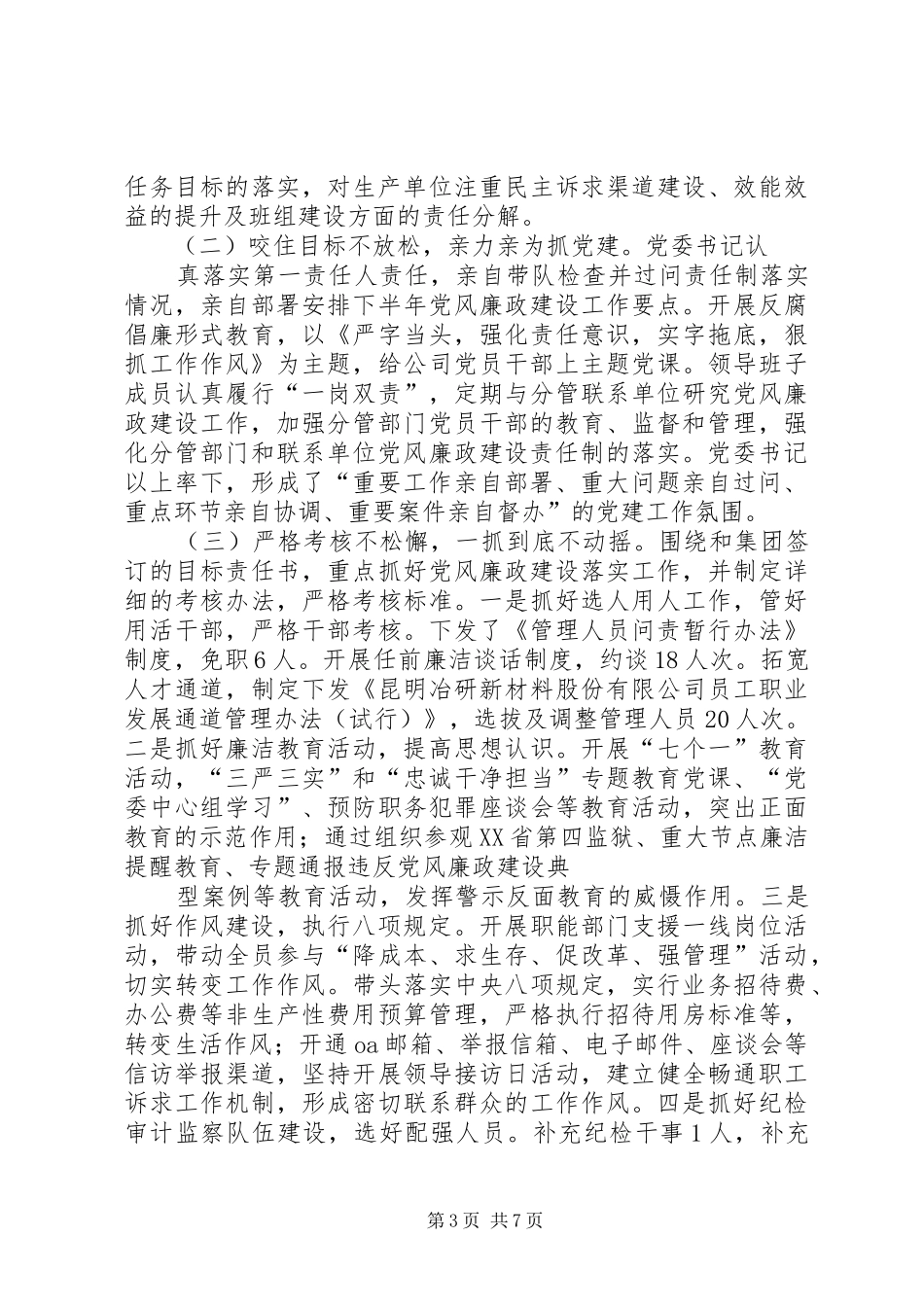 2024年经信委纪检监察工作总结_第3页