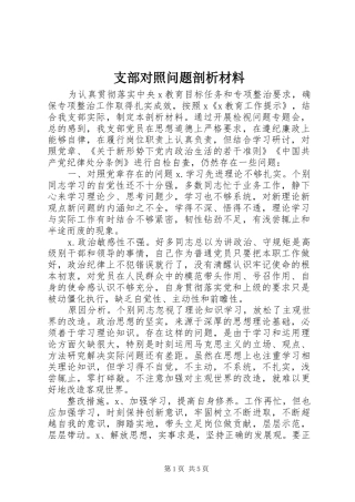 2024年支部对照问题剖析材料