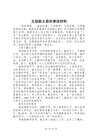 2024年支部副主委的事迹材料