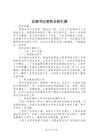 2024年支部书记党性分析汇报