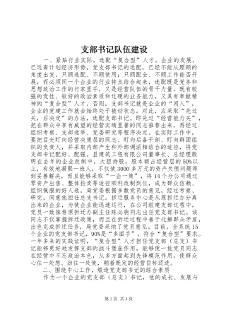 2024年支部书记队伍建设