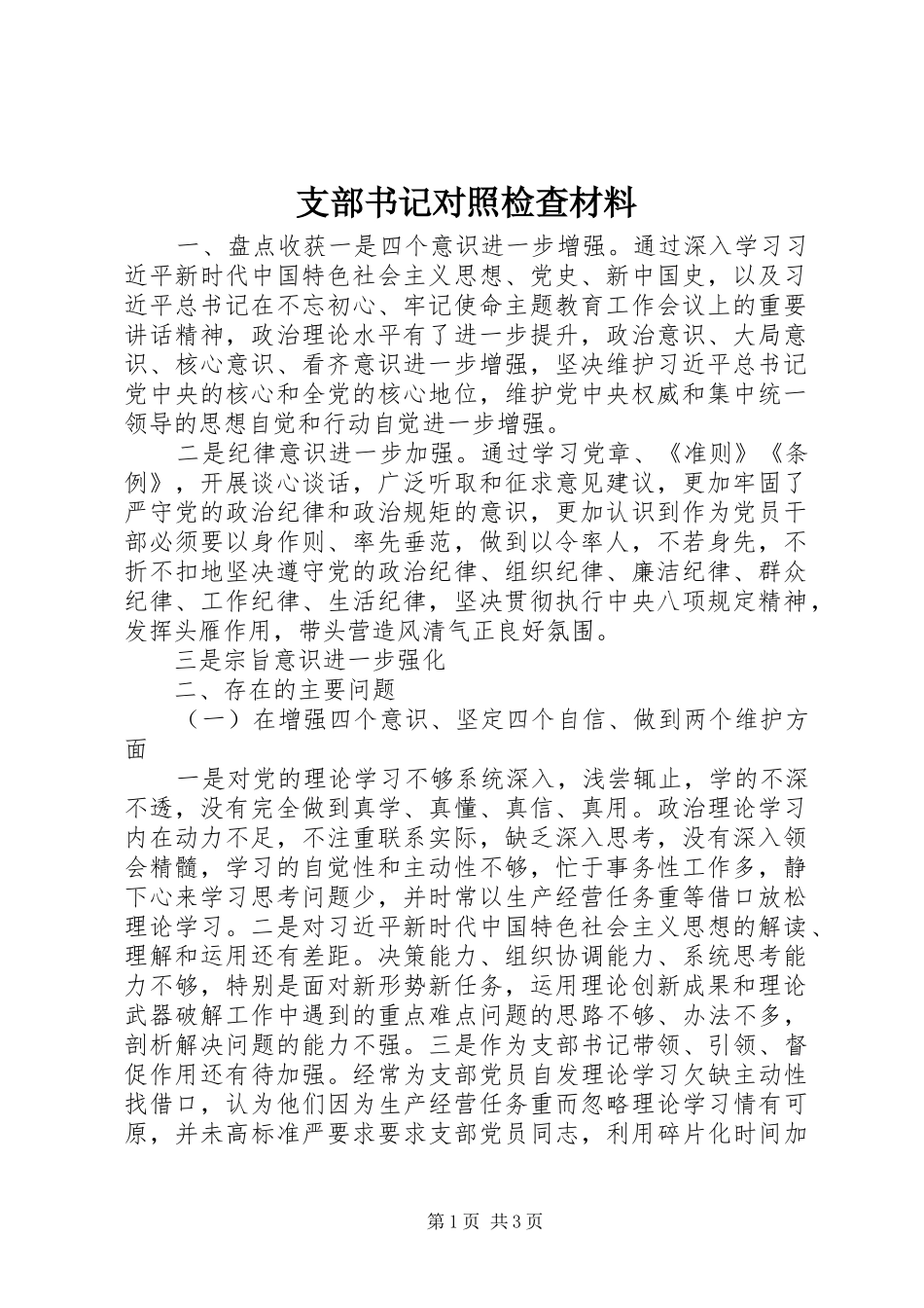 2024年支部书记对照检查材料_第1页