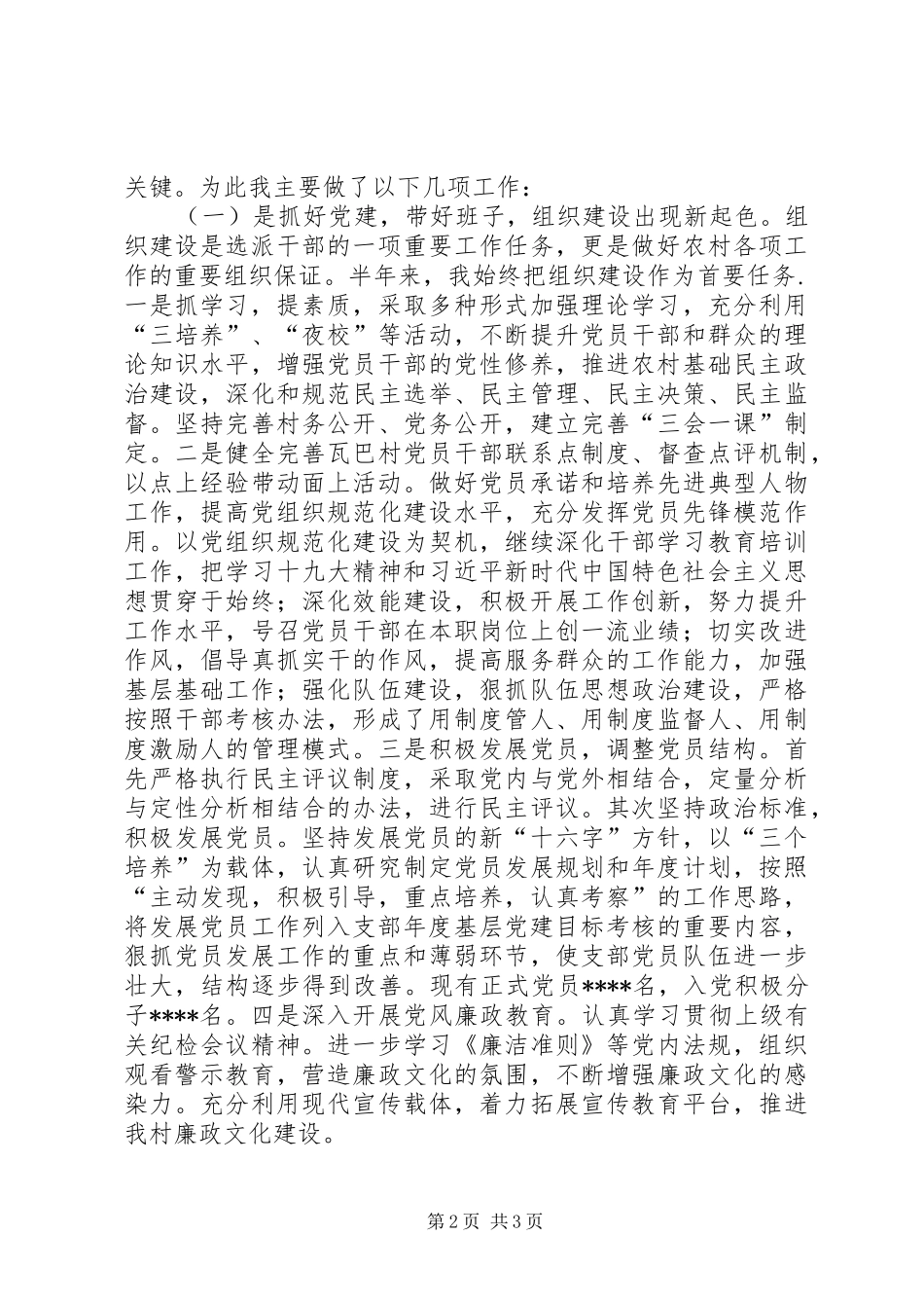 2024年支部书记工作述职报告_第2页