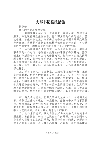 2024年支部书记整改措施