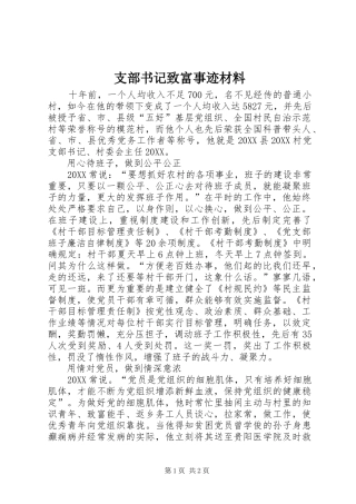 2024年支部书记致富事迹材料