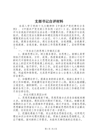 2024年支部书记自评材料