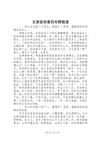 2024年支部宣传委员对照检查