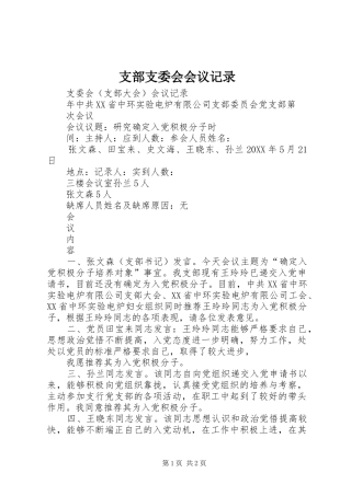 2024年支部支委会会议记录