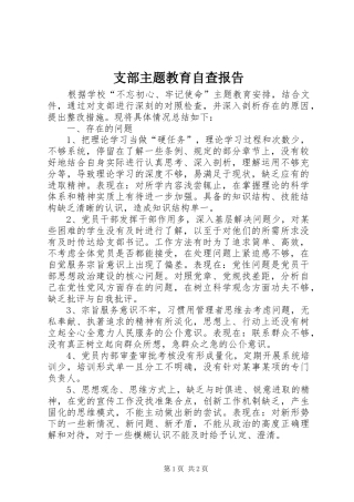 2024年支部主题教育自查报告